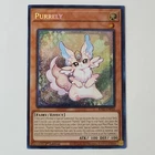 Purrely