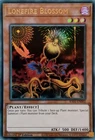 Lonefire Blossom