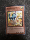 Reed Butterfly