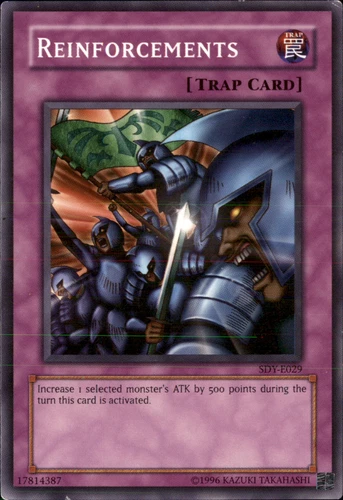 Reinforcements