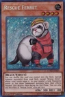 Rescue Ferret