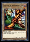 Right Leg of the Forbidden One