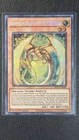 Ringowurm, the Dragon Guarding the Hundred Apples