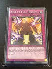 Rise to Full Height