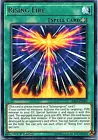 Rising Fire