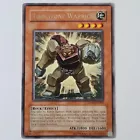 Fortress Warrior