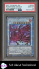 Ruddy Rose Dragon