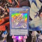 Saffira, Queen of Dragons