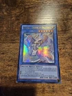 Saffira, Queen of Dragons