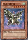 Sand Moth