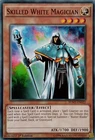 Skilled White Magician