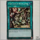Secret Village of the Spellcasters