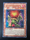 Seed of Flame