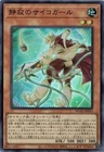 Paradox Fusion