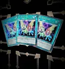 Set Rotation