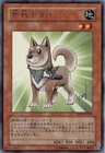 Shield Warrior