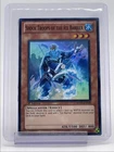 Shock Troops of the Ice Barrier