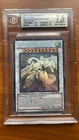 Shooting Star Dragon