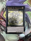 Number 46: Dragluon