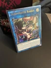 Rescue Rabbit
