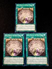 Suture Rebirth