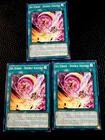 Legendary Secret of the Six Samurai