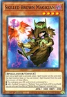 Skilled Brown Magician
