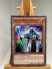 Skilled Dark Magician