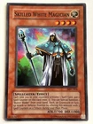 Skilled White Magician