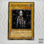 Skull Dog Marron