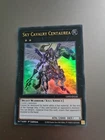 Sky Cavalry Centaurea