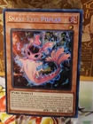 Snake-Eyes Poplar