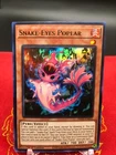 Snake-Eyes Poplar