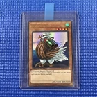 Little-Winguard