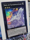 Soul of Silvermountain