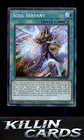 Soul Servant