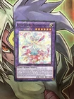Big Shield Gardna