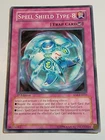 Big Shield Gardna