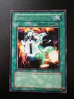 Spirit Ryu
