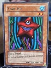 Bright Star Dragon