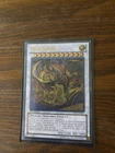 Majestic Star Dragon