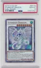 Stardust Dragon