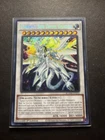 Dragunity Brandistock