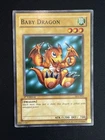Baby Dragon