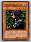Witch of the Black Forest