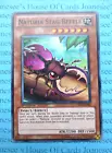Naturia Stag Beetle