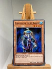 Strategist of the Ice Barrier