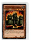 Stronghold Guardian