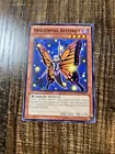 Swallowtail Butterspy