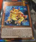 Swap Frog